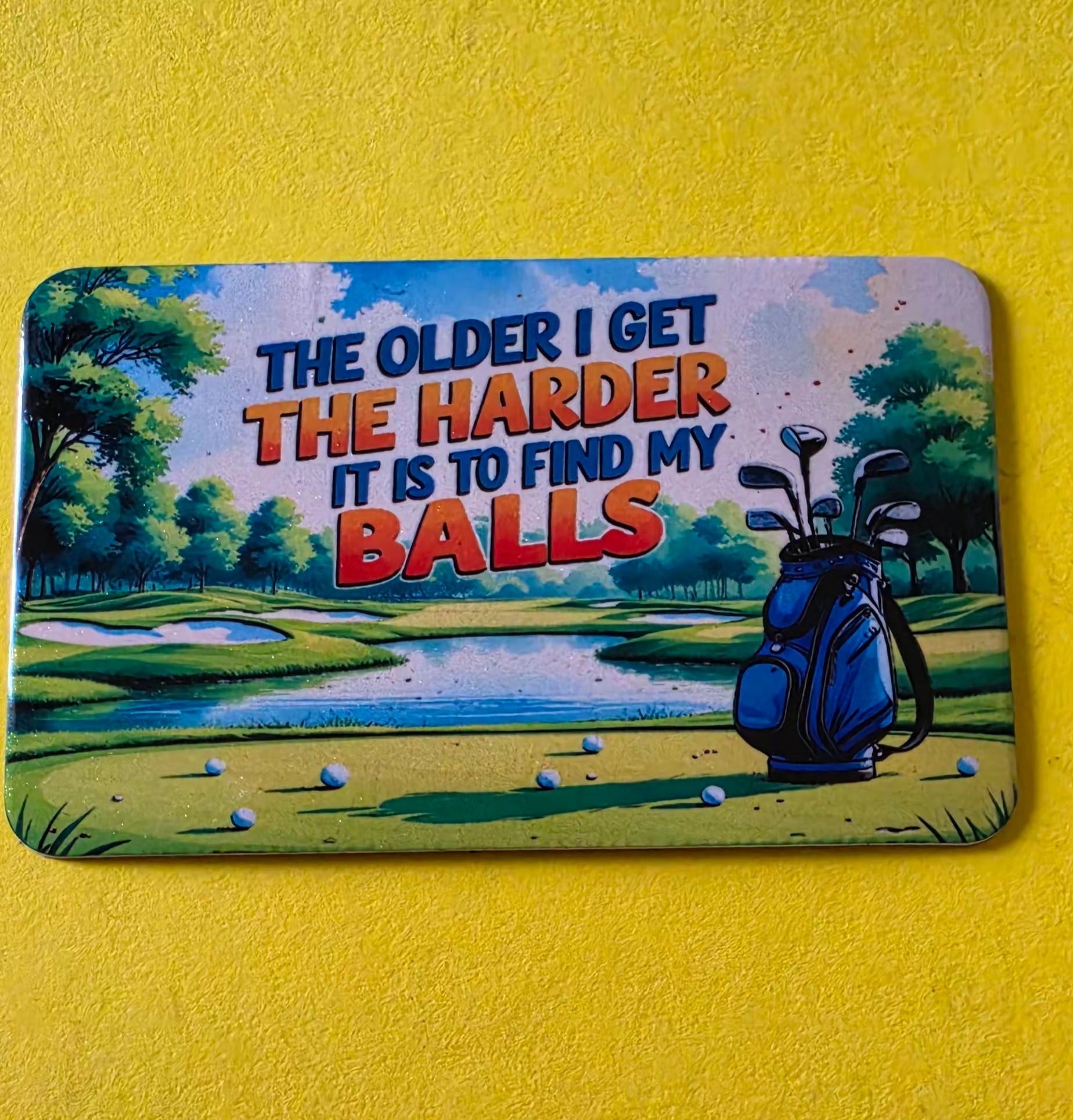 Decorative Fridge Magnets