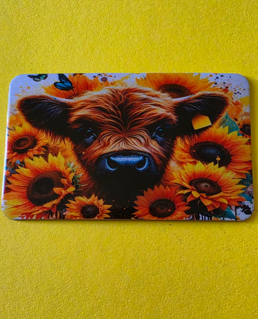 Decorative Fridge Magnets